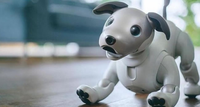 el perro robot aibo