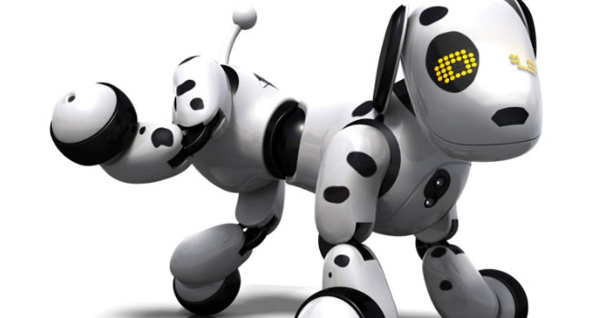 perros robots zoomer